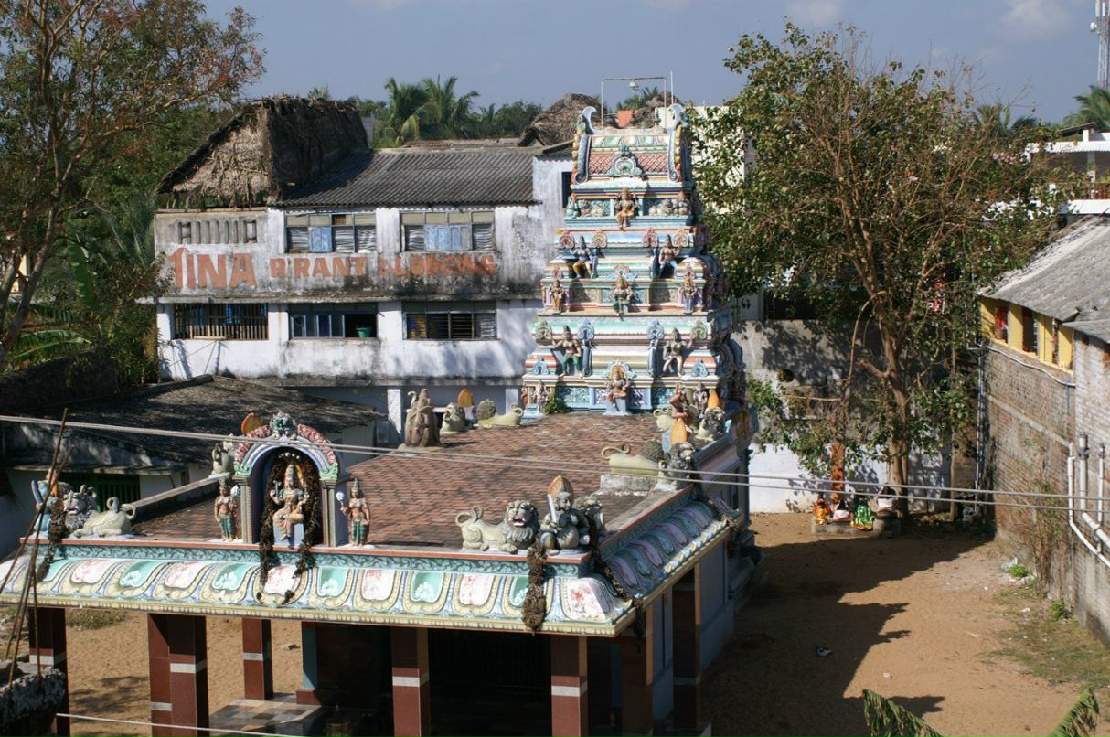 Ольга Кужель | Киев