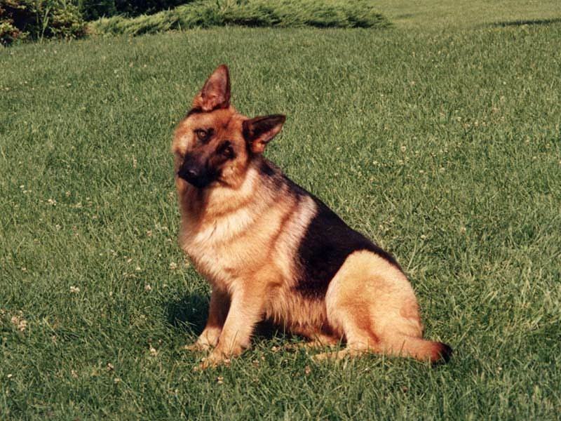 Hellen Новикова | Москва