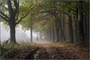 №35 Наталия Федотова