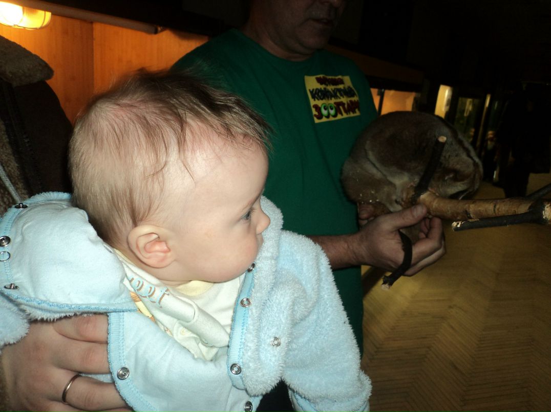 Вячеслав Трофимовский | Санкт-Петербург