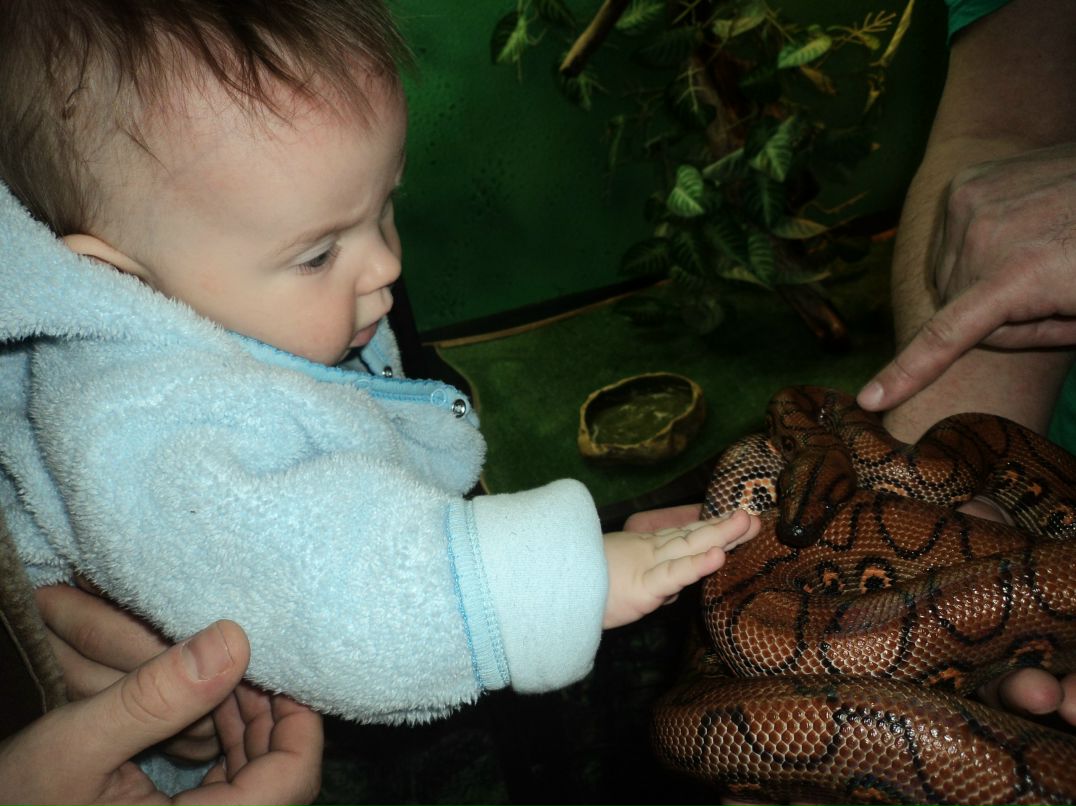 Вячеслав Трофимовский | Санкт-Петербург