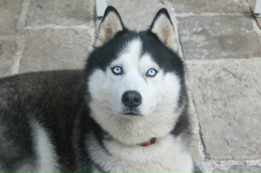 №9, Тина Валентина, Москва, Россия №9, Тина Валентина, Москва, Россия