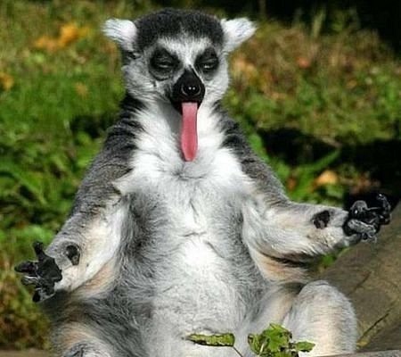 №121, Павел Маркувенас №121, Павел Маркувенас