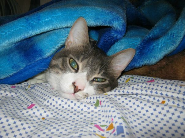 №103, Миша Шевляков, 38 лет, Bat Yam №103, Миша Шевляков, 38 лет, Bat Yam