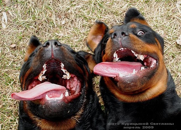 Павел Волков | Новосибирск