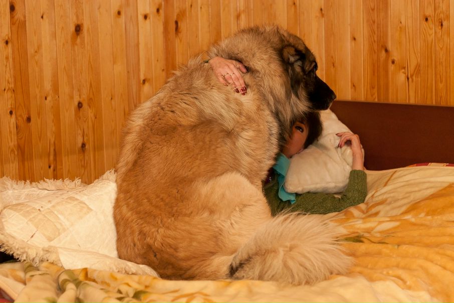 №72, Илья Щеголев, Санкт-Петербург, Россия №72, Илья Щеголев, Санкт-Петербург, Россия