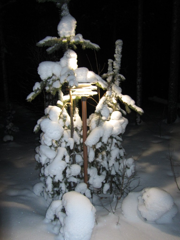 Алексей Алтухов | Воронеж