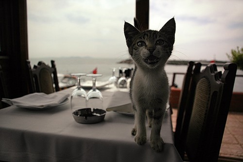 №13, Иван Жвакин, Москва №13, Иван Жвакин, Москва