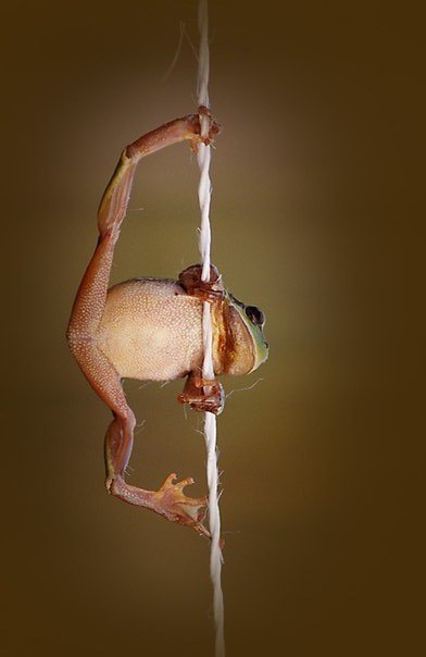 Евгения Иванова | Санкт-Петербург