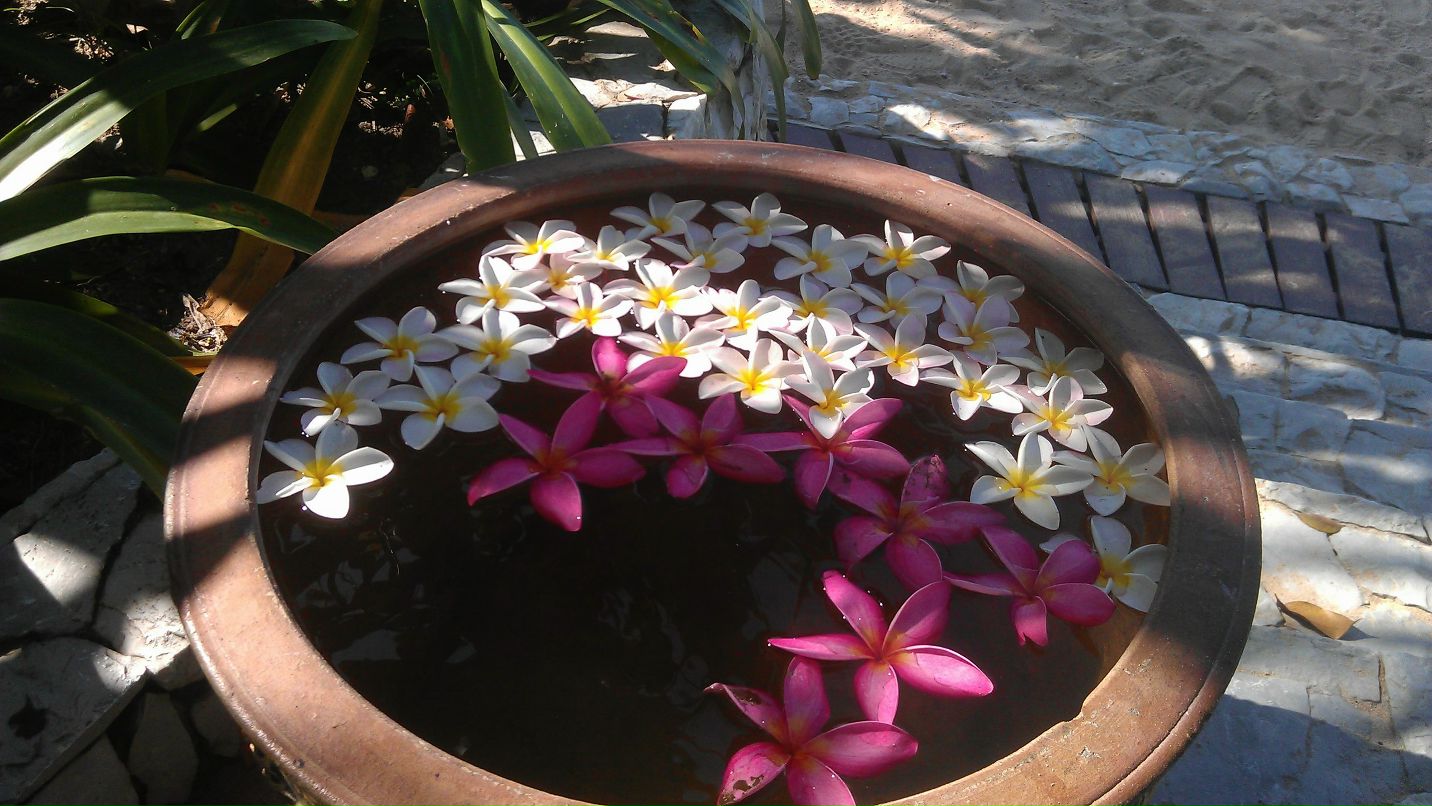 Светлана Кошелева | Москва