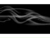 Илья Руссу | Липецк