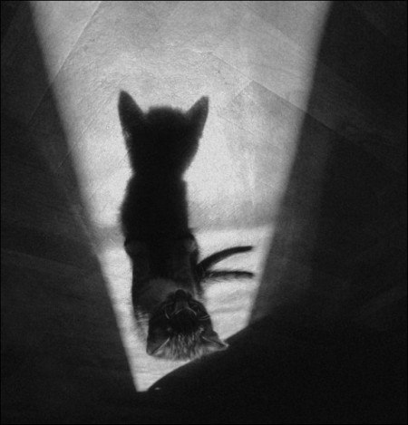 Валентина Сидоренко ValenSy | 