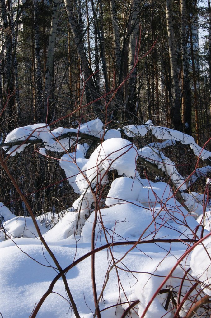 Мария Чудесникова Грейс | Москва