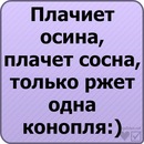 №37 София Скопцова