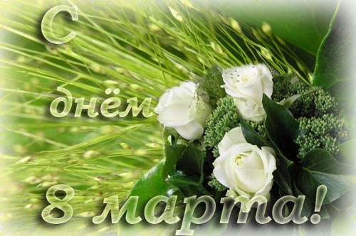 Александр Крутиков | Череповец