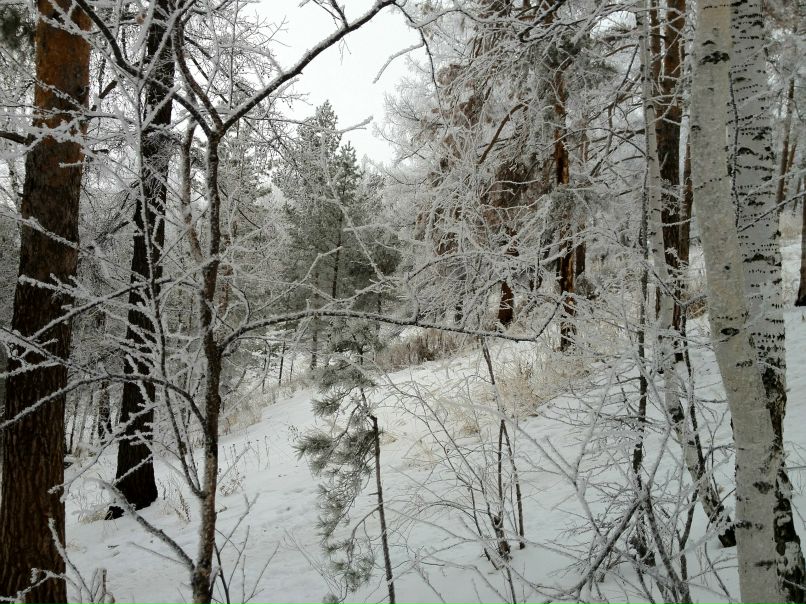 Василий Голосов | Киров