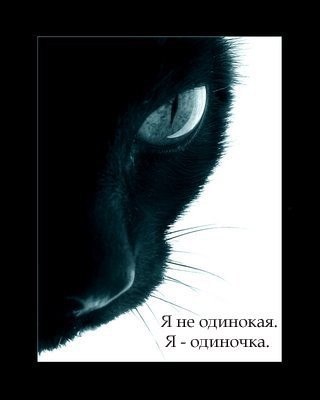 Татьяна Добровольская | Днепр (Днепропетровск)