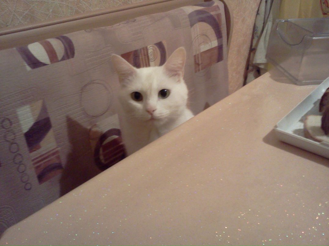 Ильнур Мирзаянов | 