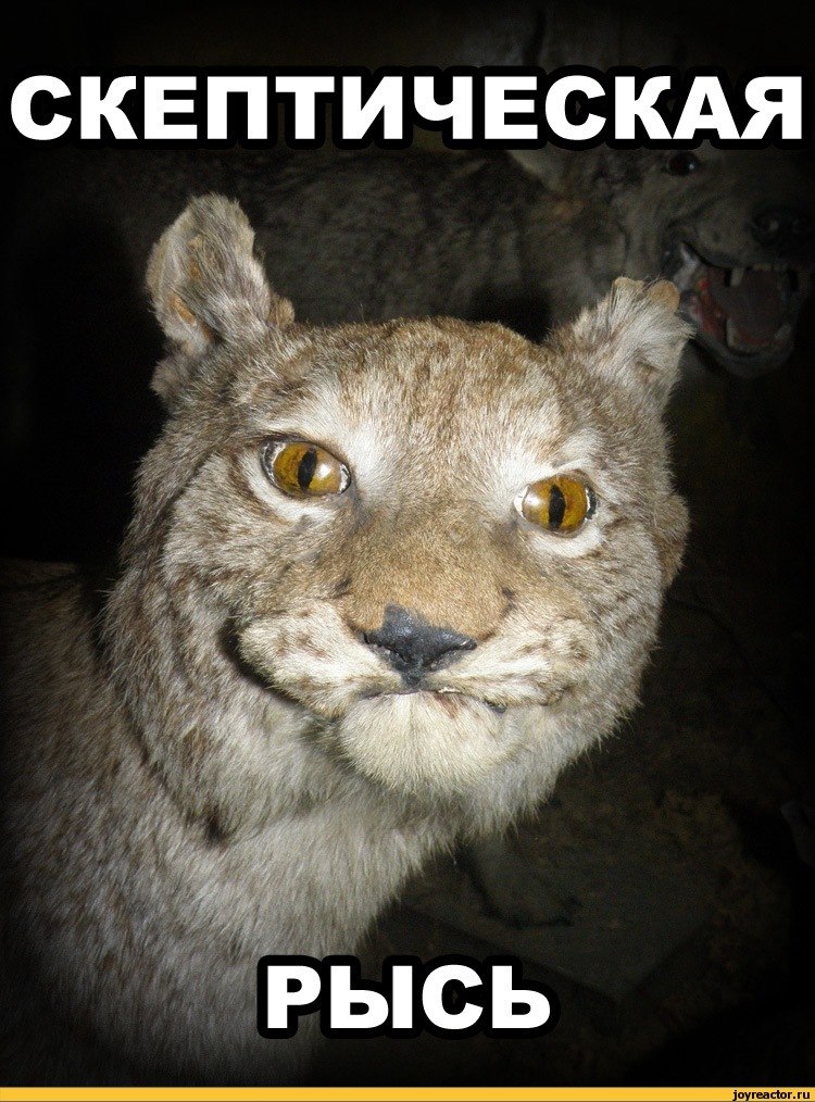 Александр Сахаров | Москва