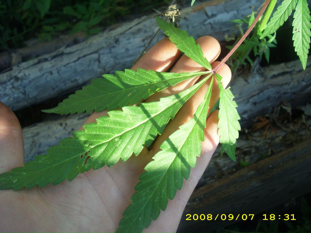 Виктор Милютин | Вологда