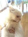 №7 Дарья Городнова