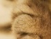 Ирина Литвиненко фотография #19