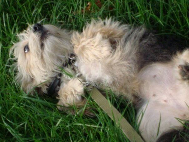 Сергей Малыхин | Харьков