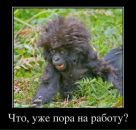 Фотография Геор Салагаев