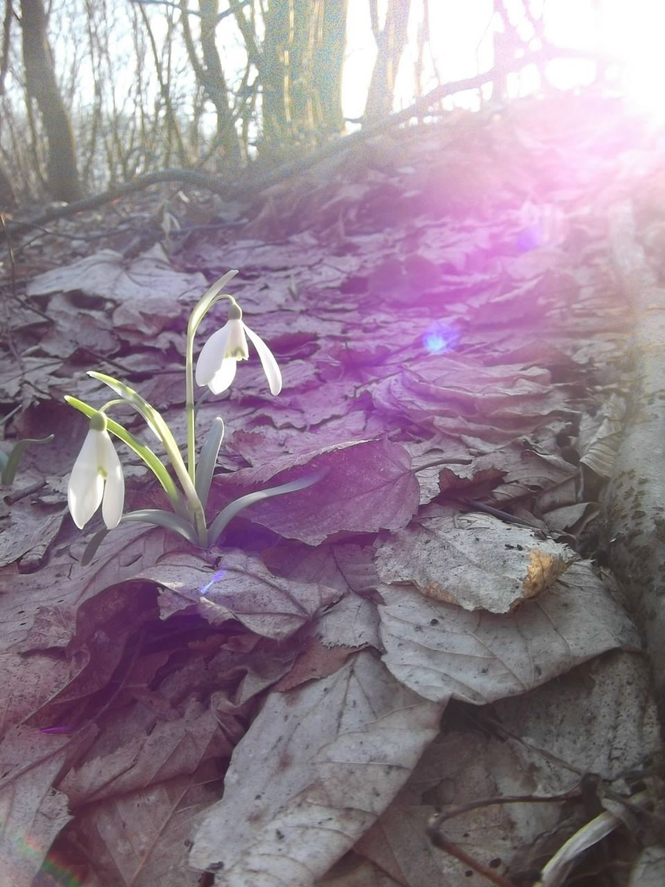 Іра Чендей Володимирівна | Бережаны