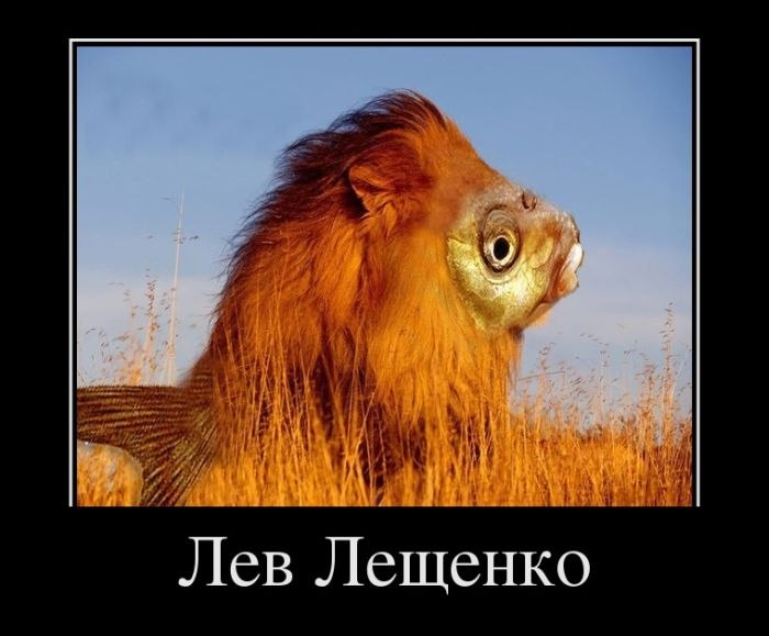 Миша Буров | Санкт-Петербург