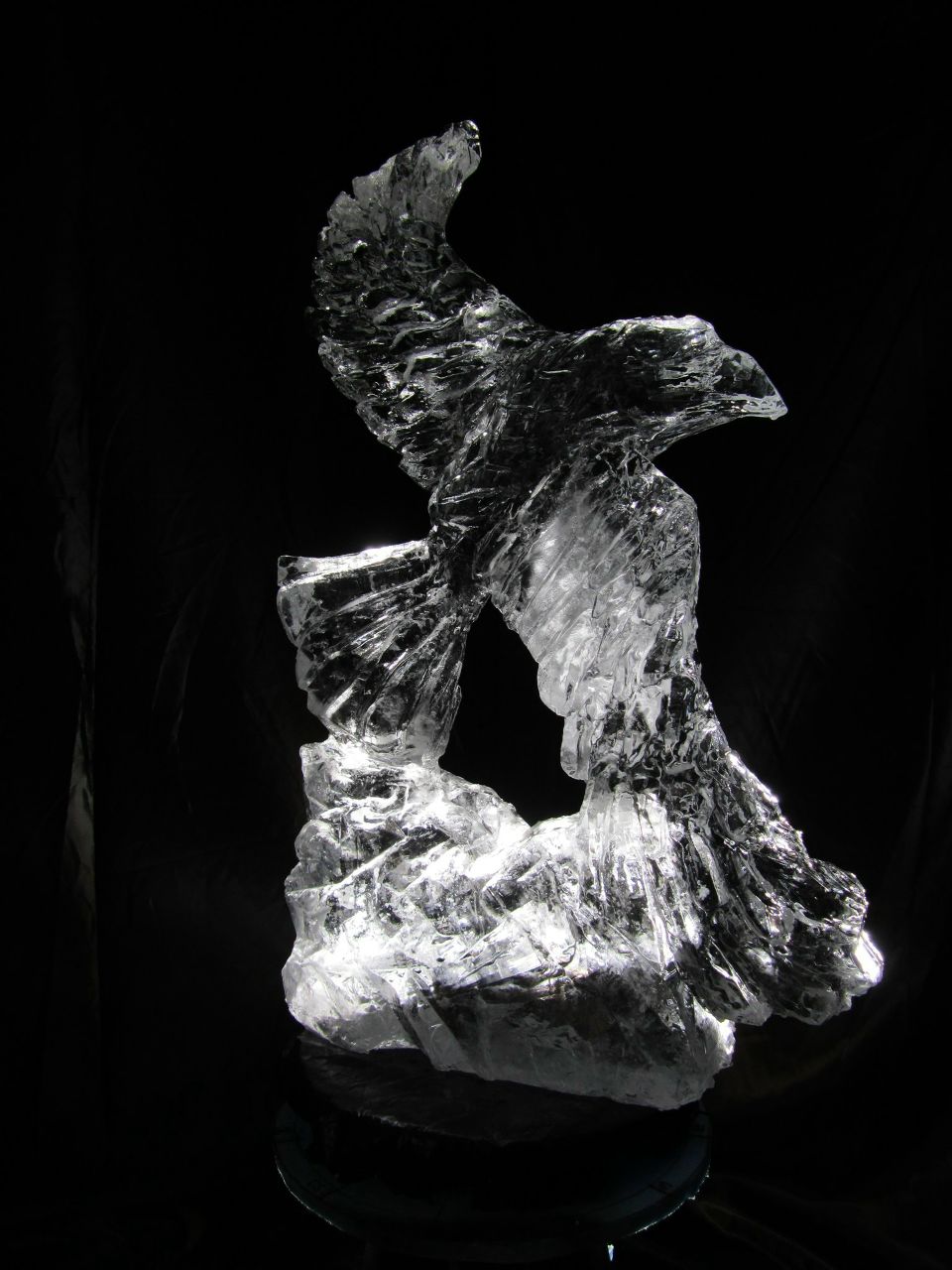 Владислав Тутка | Донецк