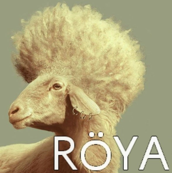 №38, Заур Сулейманов, Брянск №38, Заур Сулейманов, Брянск