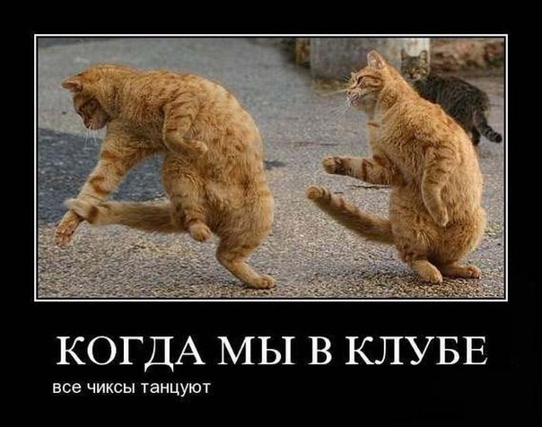 Макс Цебенко | Санкт-Петербург