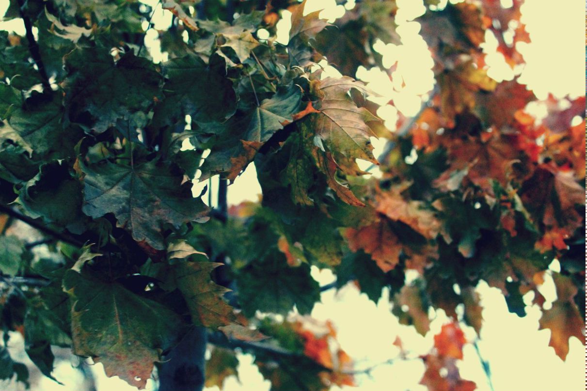 Марина Яровая | Москва