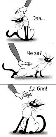 Светлана Тишина | Минск