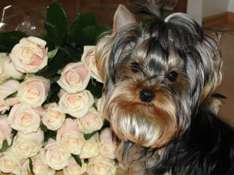 Тимур Аднабаев | Уфа