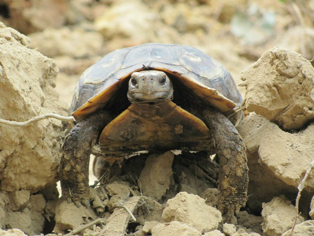 Евгений Сальников | Санкт-Петербург