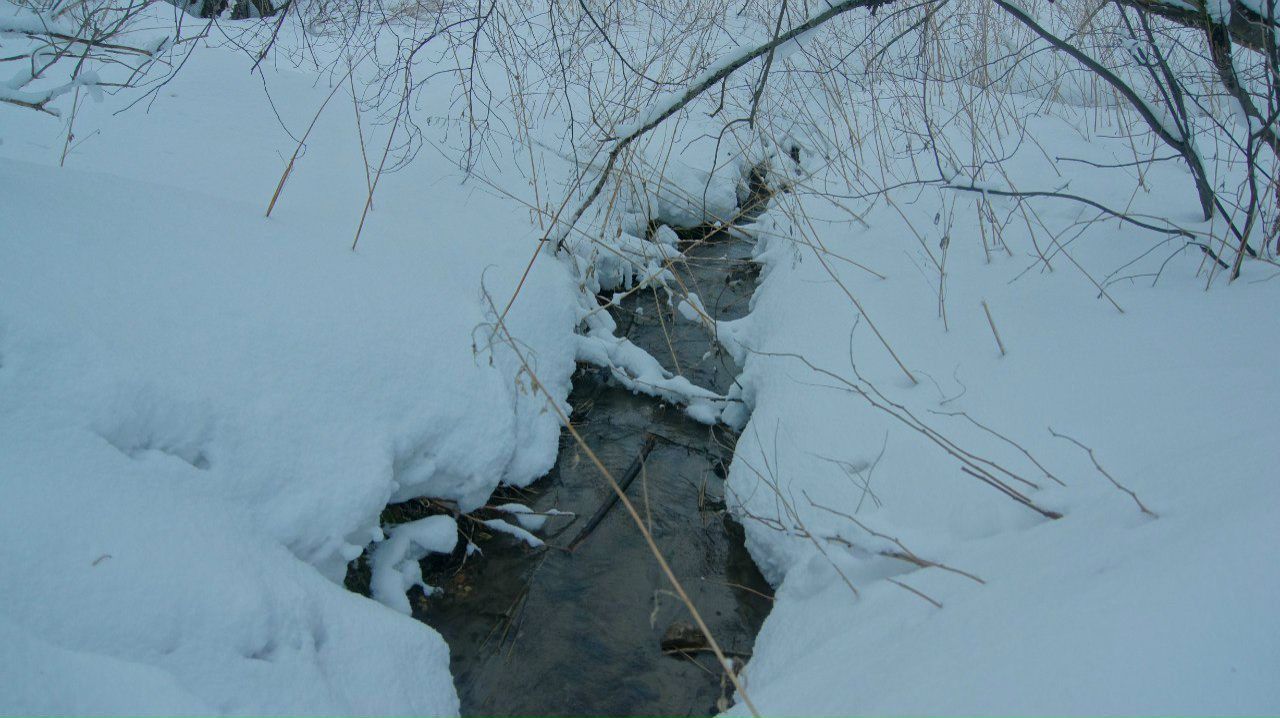 Евгения Киселёва | 