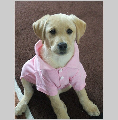 Инна Тарасенко | 