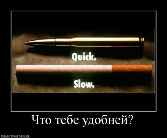 Аркадий Ерофеев | 