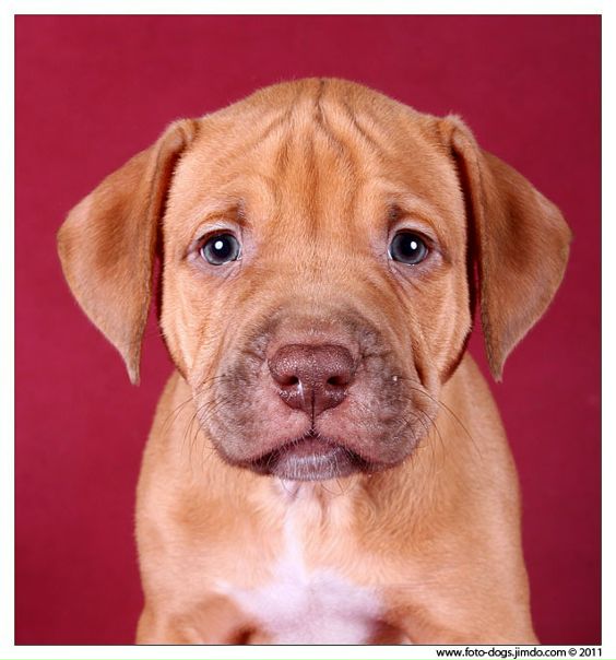 №55, Яна Шидловская, Санкт-Петербург №55, Яна Шидловская, Санкт-Петербург