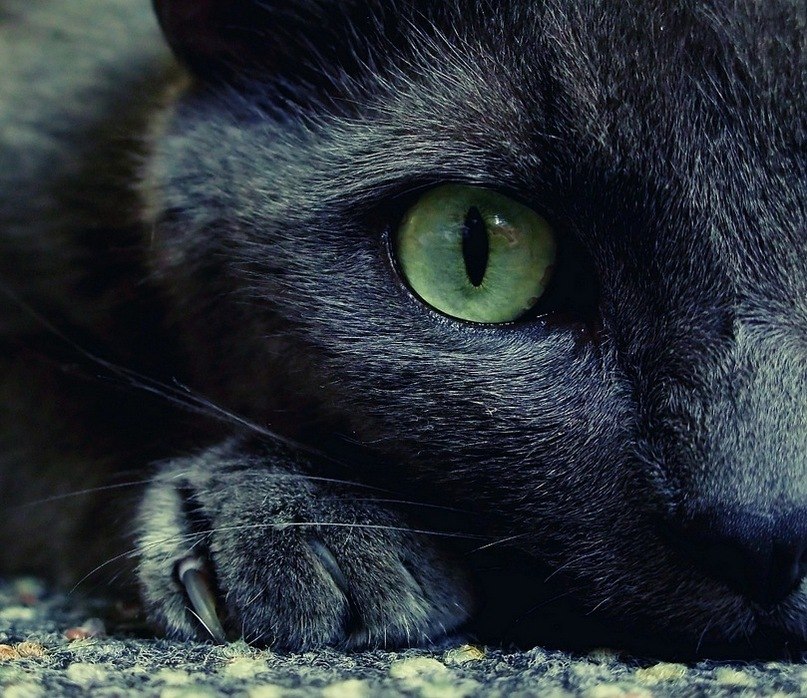 Катя Гурикова | Москва