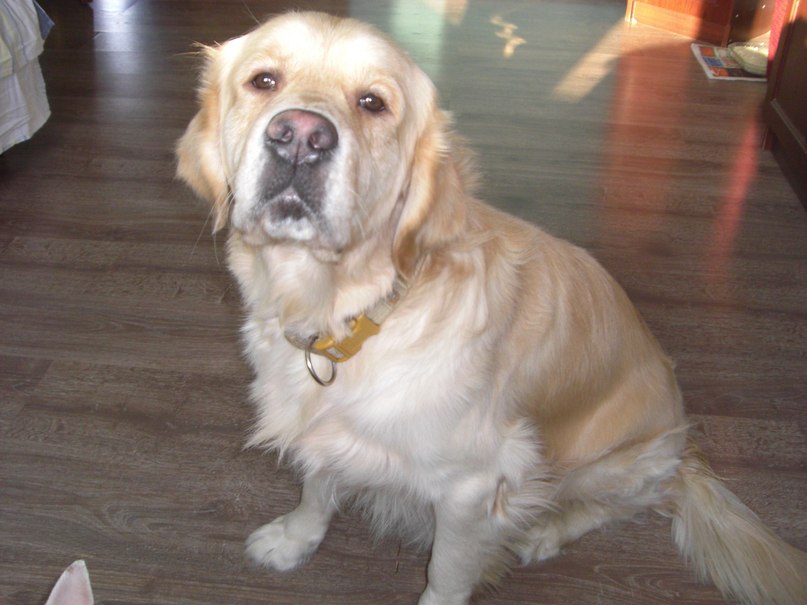 Юлия Яровая | Москва