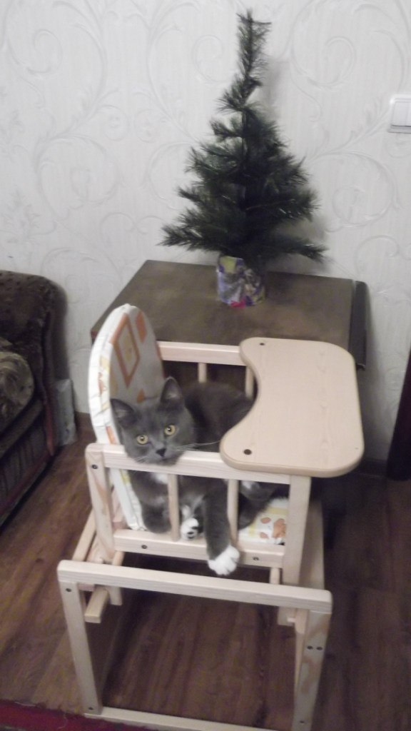 Гриша Курбанов | Балтийск