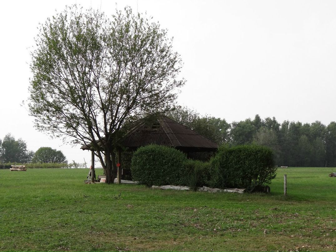 Светлана Трофимова | Санкт-Петербург