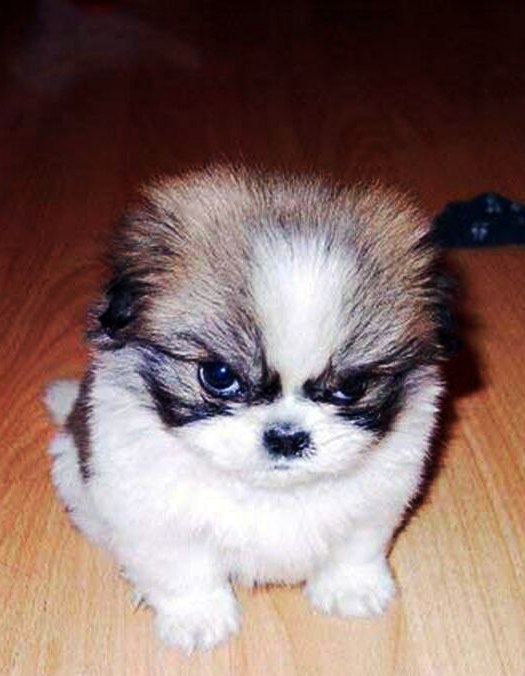 Олег Бровар b.ol_m | Черкассы