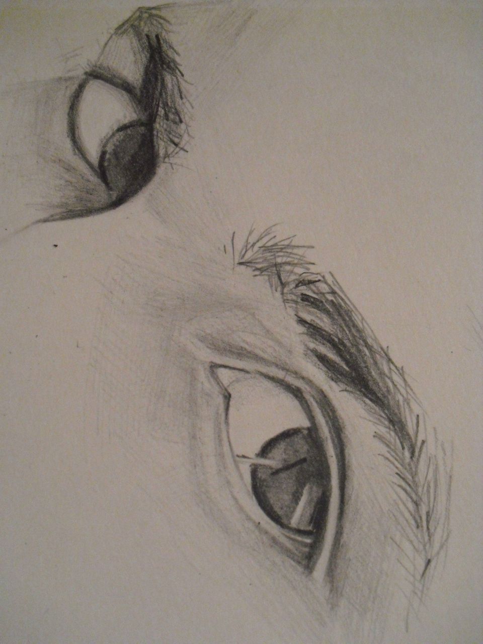 Евгений Малинин Gerr Кудашёв | Оренбург