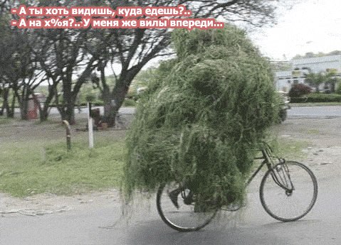 №12, Vadim Semenyuta №12, Vadim Semenyuta