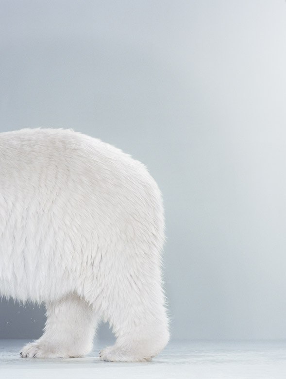 Валентина Котлярова Medvedik | Ростов-на-Дону