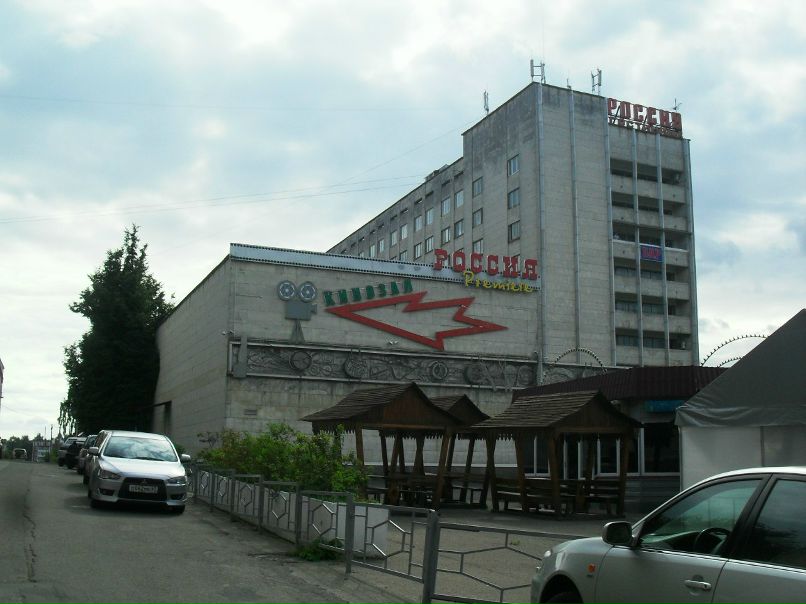 Елена Харичкина Кошка | Санкт-Петербург